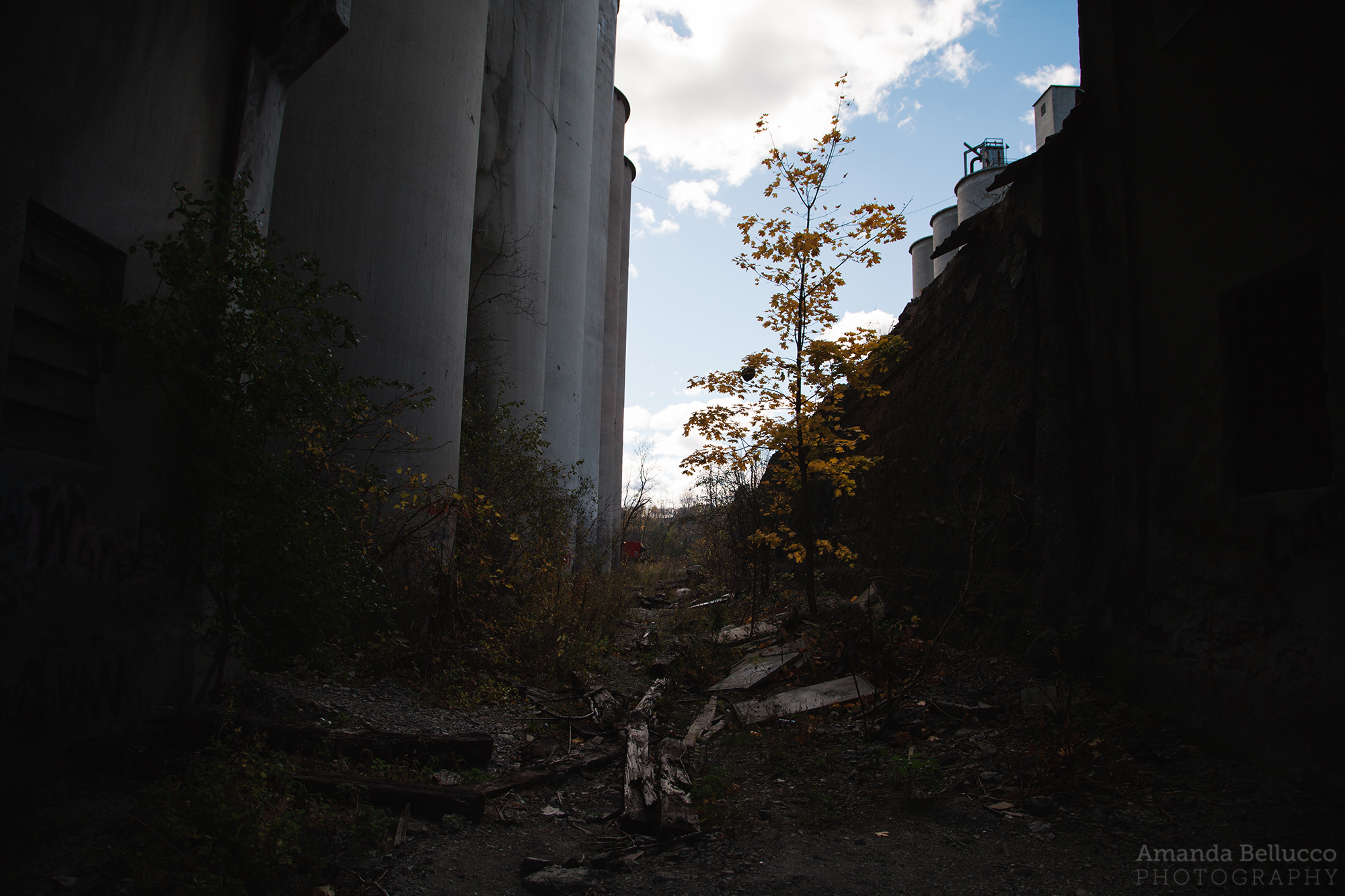Abandoned Cement Factory